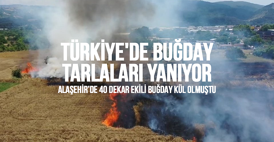 Türkiye'de buğday tarlaları yanıyor